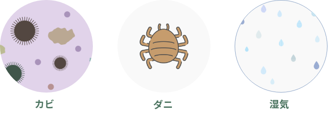 ダニ、室内に溜まりやすい湿気、じめじめした空気から発生するカビに効果的
